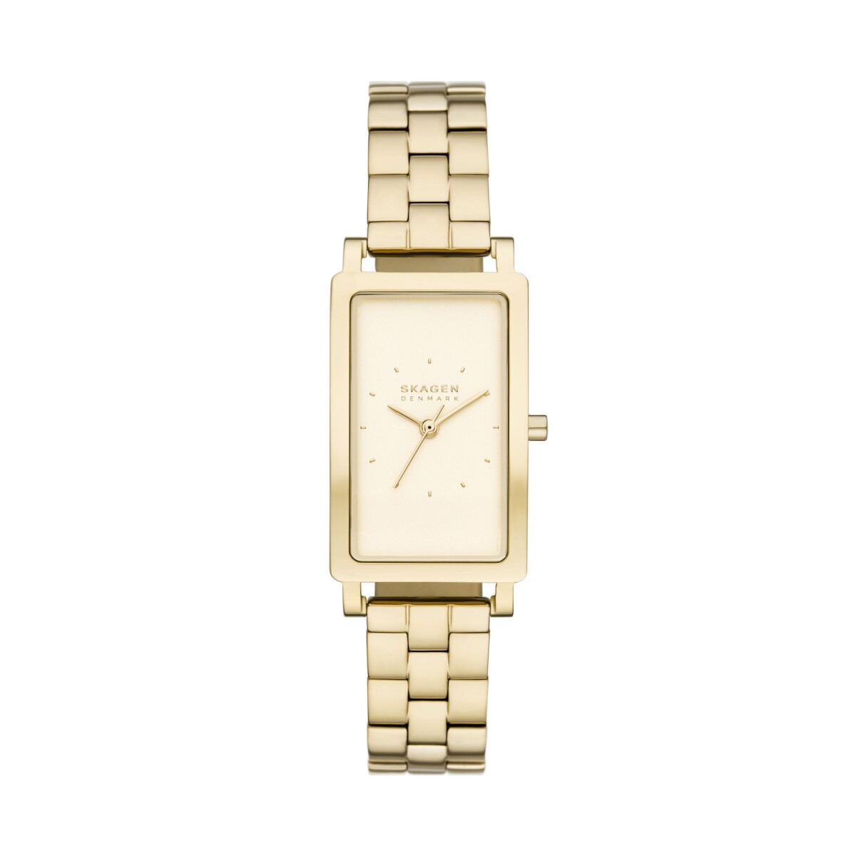 Reloj Skagen Clasico Acero Inoxidable Oro 