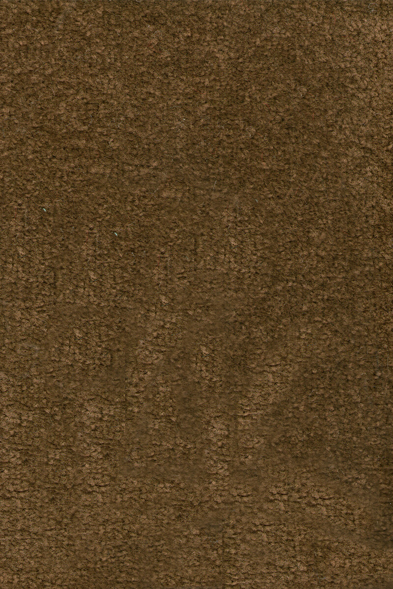 DYNASTY MOQUETTE DYNASTY BRUIN 97 ANCHO 4M