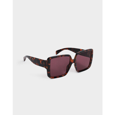 Anteojos Maxi Carey Marron Carey