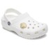 Pave Seashell Multicolor