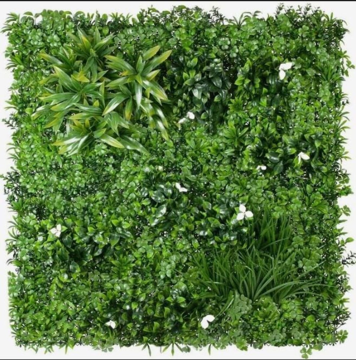 Pasto Artificial 50x50cm 