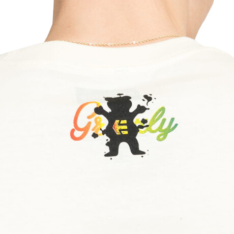 REMERA ETNIES GRIZZLY White