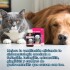 EXPECTORANTE JARABE LAIKA 100 ML EXPECTORANTE JARABE LAIKA 100 ML