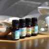 Aceite 10ml hornito Anti-estrés