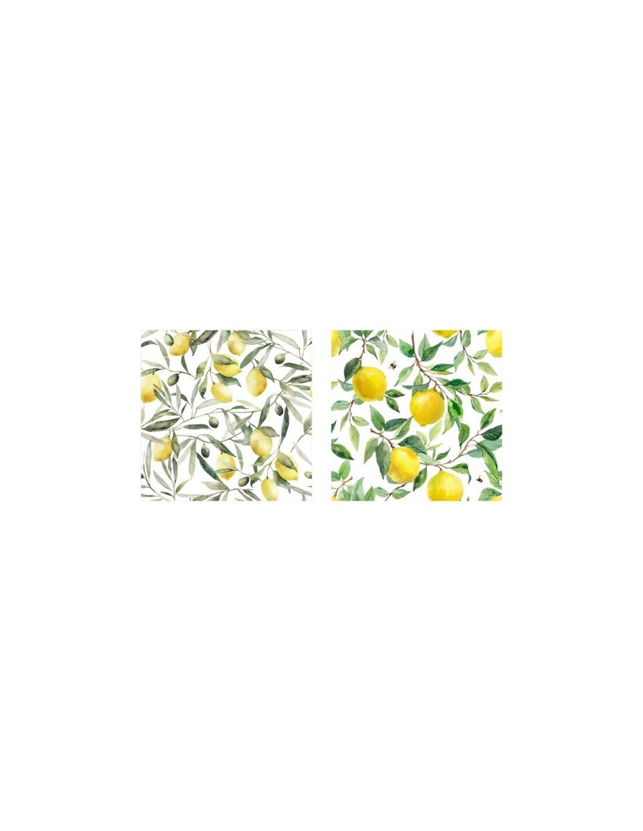 Cuadro Limoneros 2 Modelos 40x40x1.5 Cm 
