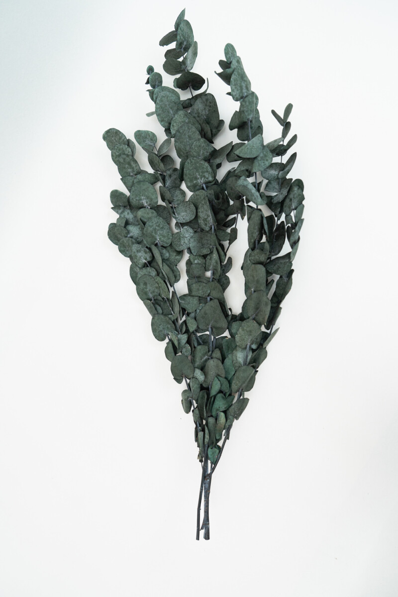 Deco Floral Eucalipto - Color Unico 