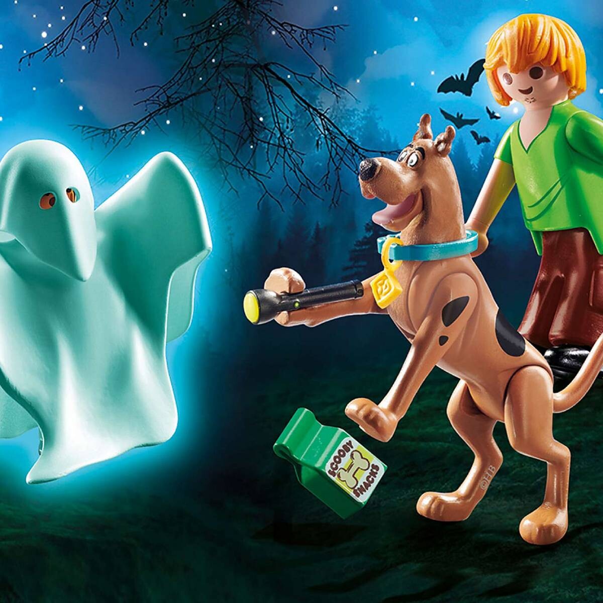 Scooby-Doo!: Scooby, Shaggy y Fantasma 