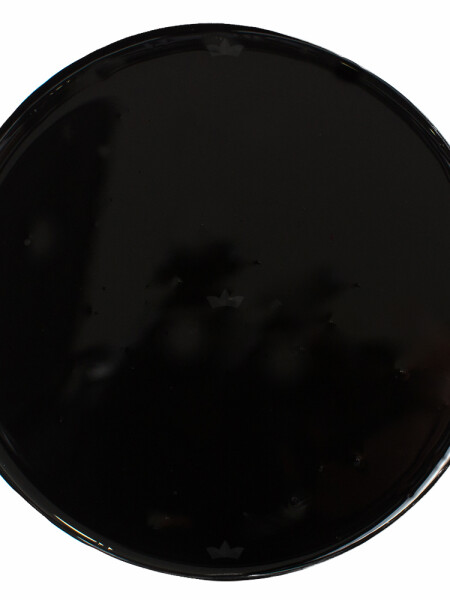 PINTOR ESMALTE BRILLANTE NEGRO CON CONVERTIDOR - 0.9LT N/A
