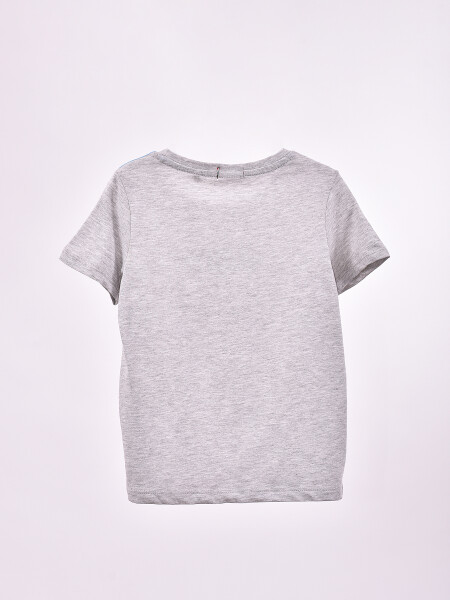 REMERA CILANTRO GRIS