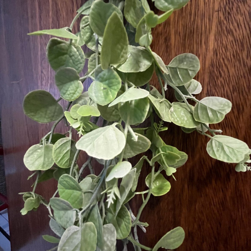 Guia de Hojas Guia de Hojas