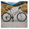 Bicicleta Baccio Alpina Lady Rodado 26 Color Rosa 6 Velocidades Bicicleta Baccio Alpina Lady Rodado 26 Color Rosa 6 Velocidades