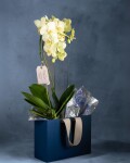 Orquideas en bolso viajero Orquideas en bolso viajero