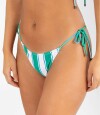 Colaless ostia est. Green stripe