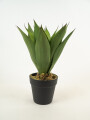 Planta Yucca 35cm Color Unico