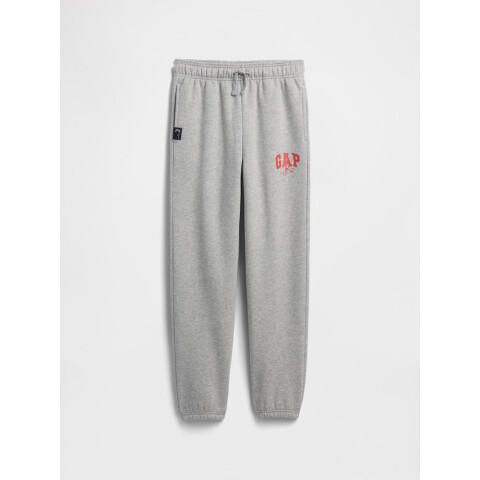 V-DIS FAM FALL LOGO JOGGER B08
