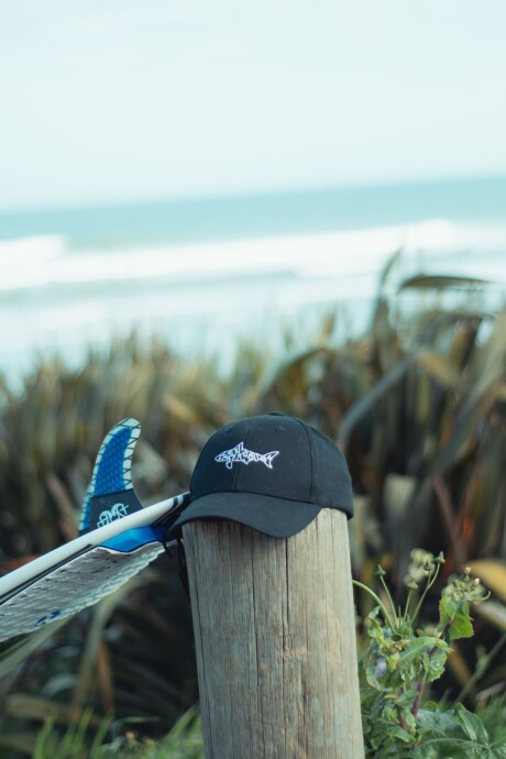 GORRA SHARK / Negro Gorra Shark / Negro