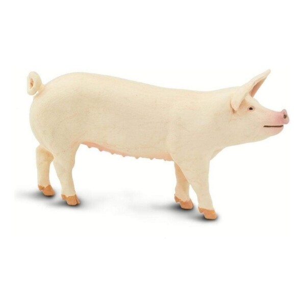 Safari Pig Cerdo Lindo Animal Chancho Figura Coleccion Safari Pig Cerdo Lindo Animal Chancho Figura Coleccion