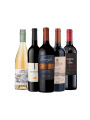 Pack Selección Good Times Good Wines x5 vinos blancos Pack Selección Good Times Good Wines x5 vinos blancos