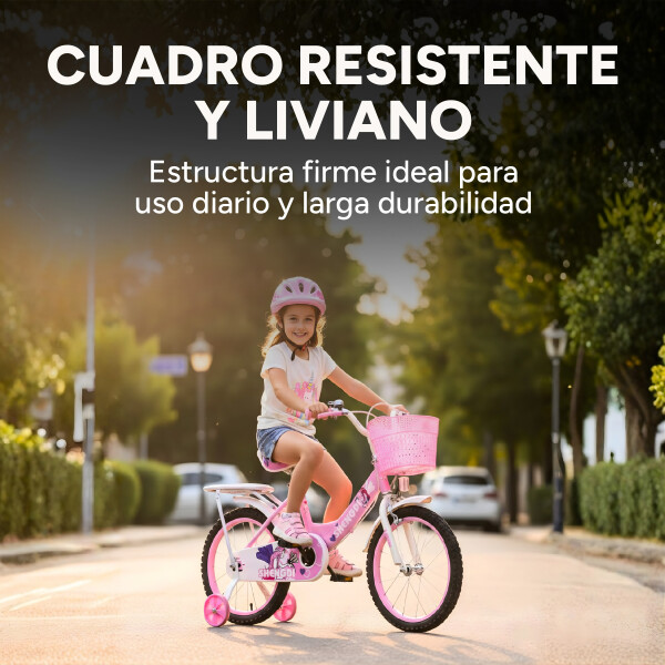 Bicicleta infantil Shengdi Rodado 16 Canasto Parrilla Hadas Color Rosa Claro