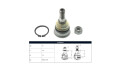 Rotula Del Nissan Sentra B14/Sentra B13 82-17 Der/Izq Rotula Del Nissan Sentra B14/Sentra B13 82-17 Der/Izq