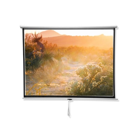 Pantalla para Proyector Blanco Mate 120" 001