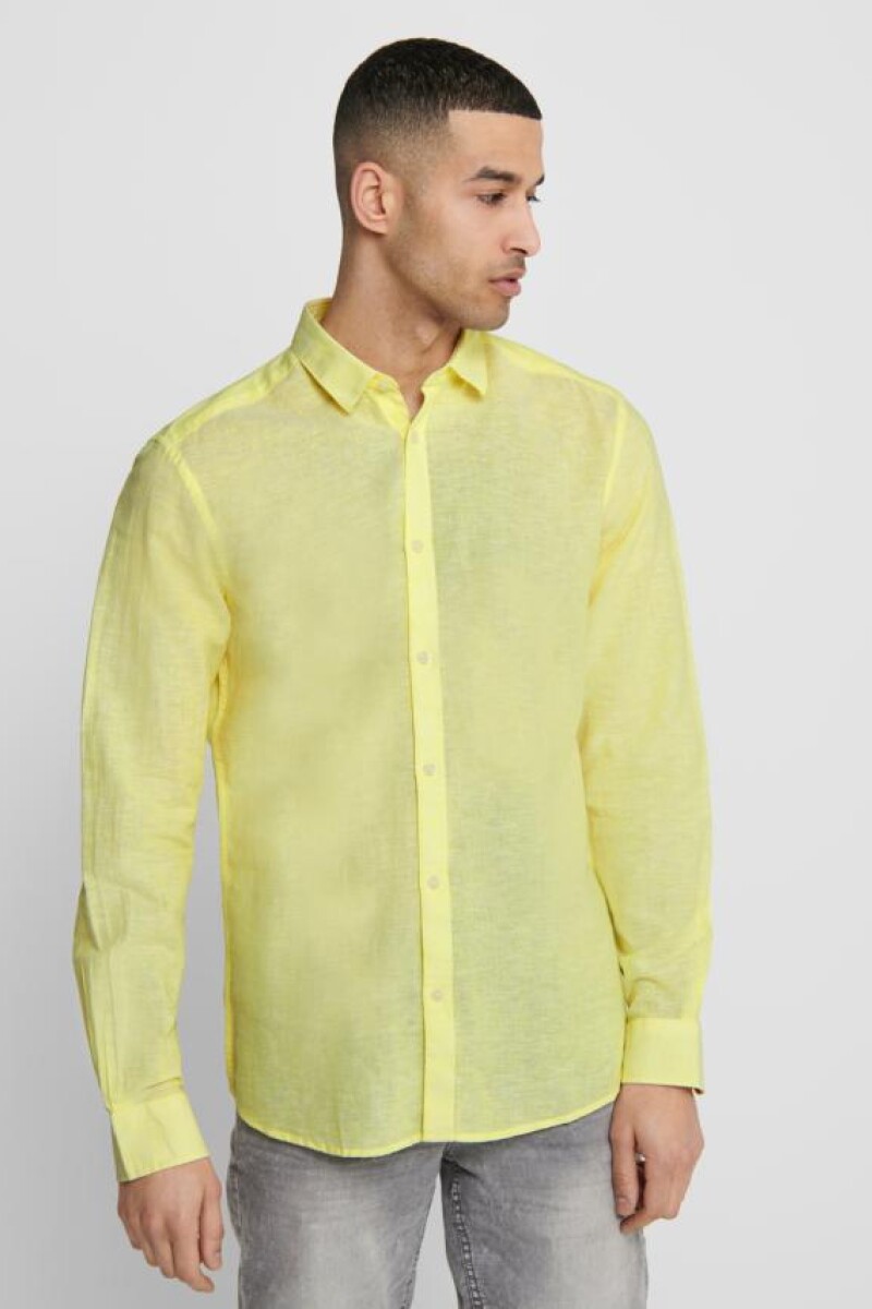 Camisa Caiden Limelight