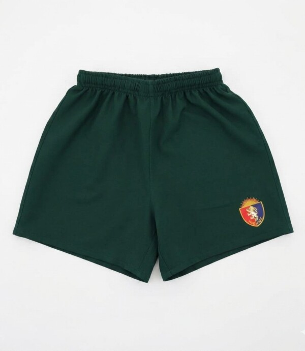 Short Rugby British Verde