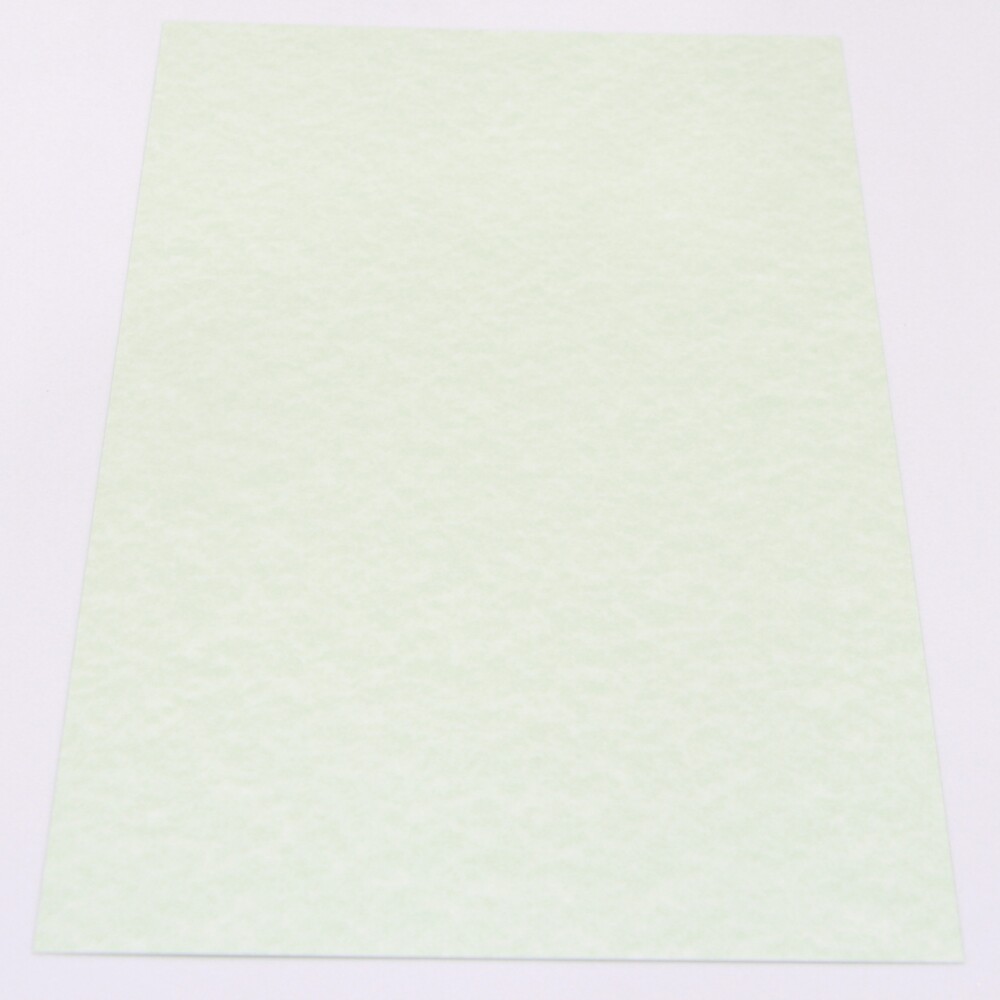 CARTULINA A4 TELADA 200 GRS COLOR LAGUNA Nº5