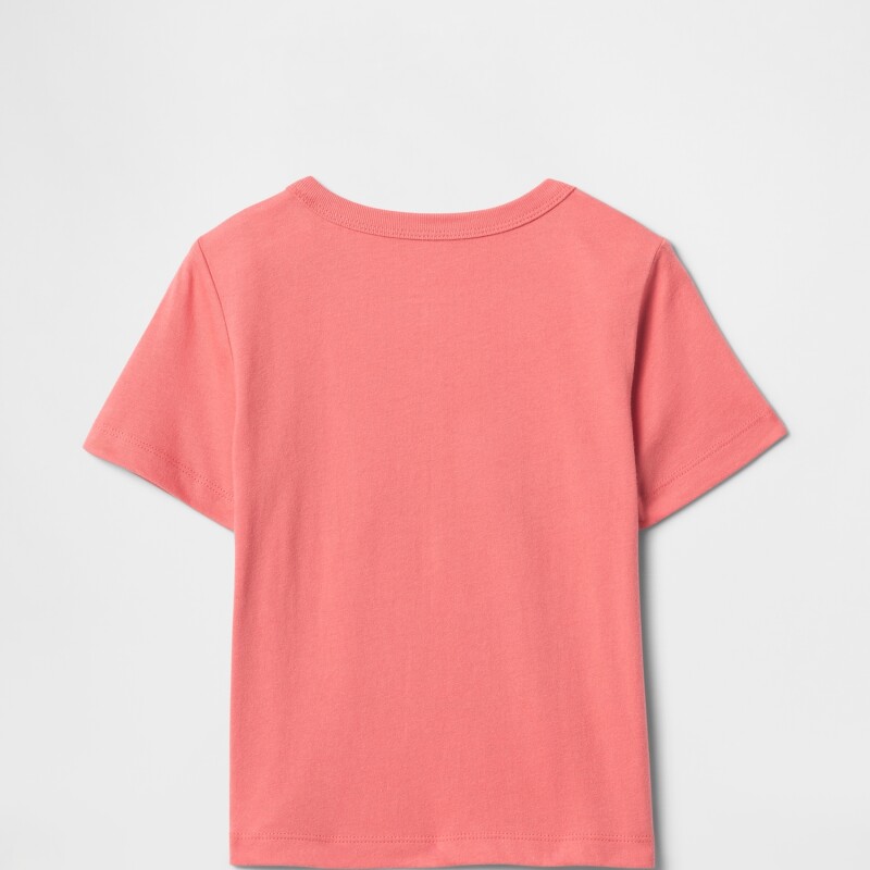 BF SS GRAPHIC WATERMELON ICE