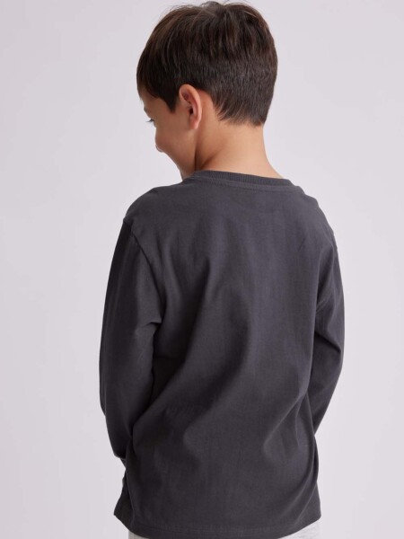 Remera estampada Gris Oscuro