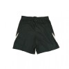 NIKE CHELSEA FC STRIKE SHORT Outdoor Green