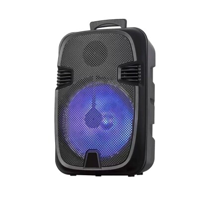 Parlante activo portátil bluetooth GTS1248 8" con micrófono Parlante activo portátil bluetooth GTS1248 8" con micrófono