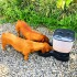 Comedero Automático Dispensador Alimento 8 Litros Mascotas Variante Color Azul