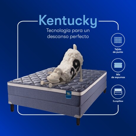Conjunto Sommier Kentucky - 1 Plaza 0.90 x 1.90