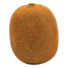 Fruta Artificial - Kiwi marrón oscuro Fruta Artificial - Kiwi marrón oscuro