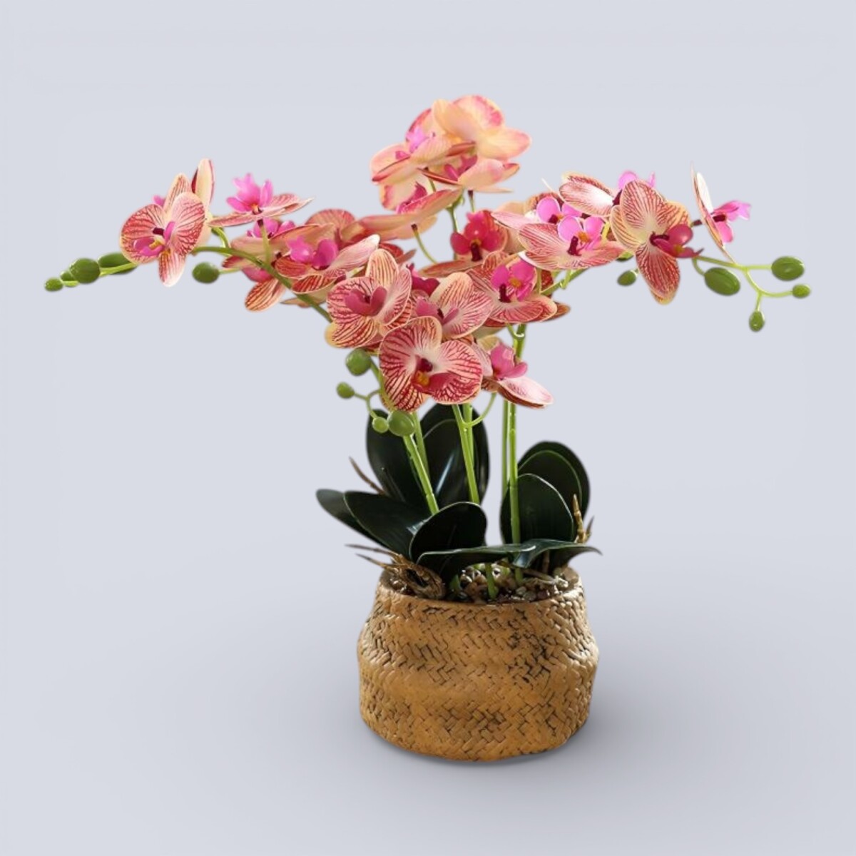 Orquídea Artificial Maceta Grande - Salmón 