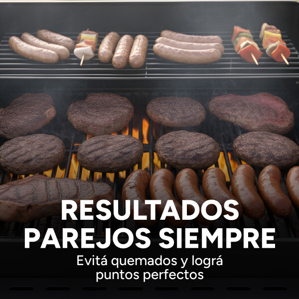 Parrillero Barbacoa A Gas Portátil Patio Jardín Hornalla X4 Color Gris