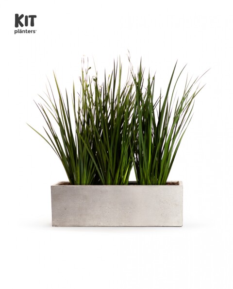 KIT Jardinera "Gris laca" 1m* 30cm* 30cm* con Dietes, Sustratos y Cubresuelo