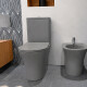 INODORO PARA MOCHILA ANORI GRIS MATE RIMLESS 65X37X83 CM 000