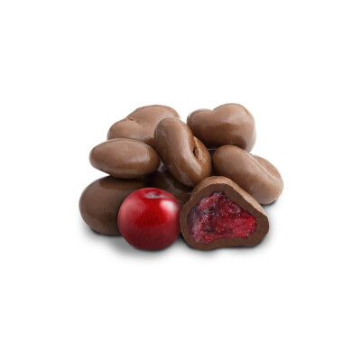 ARANDANOS CON CHOCOLATE 100G Arandanos Con Chocolate