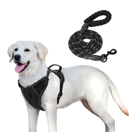 Arnés y Correa Para Perro Reflectivo Ajustable Reforzado Negro