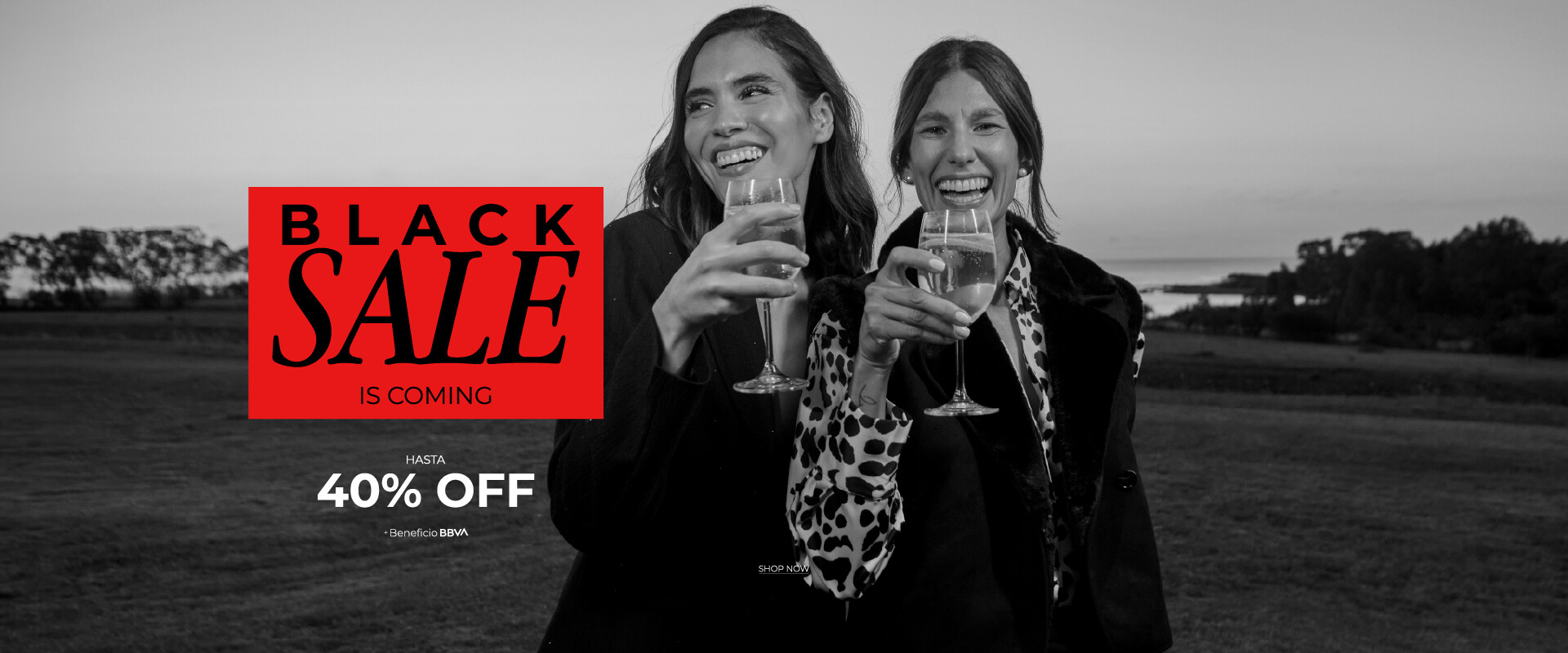 Black Sale