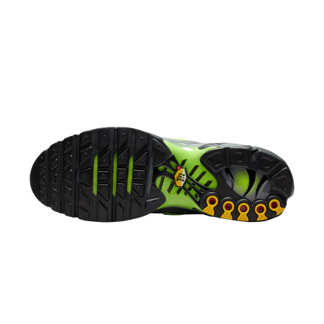 Championes Nike Air Max Plus Black