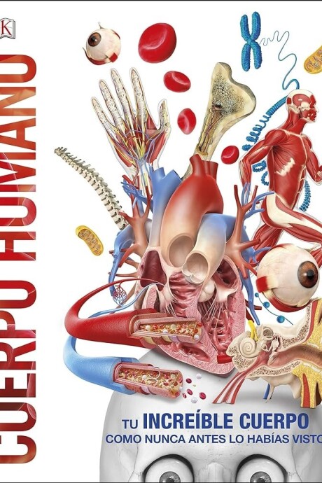 CUERPO HUMANO CUERPO HUMANO