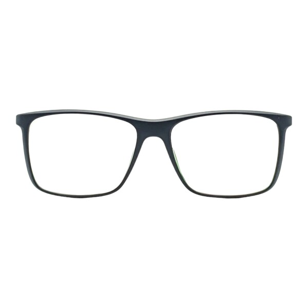 KY370720 negrouniforme