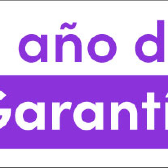 Garantía por 12 meses Garantía por 12 meses