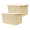 Set x2 Caja simil ratán 15 lts 39x26x19 cm BEIGE