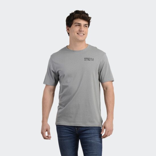 Remera O neill Gris