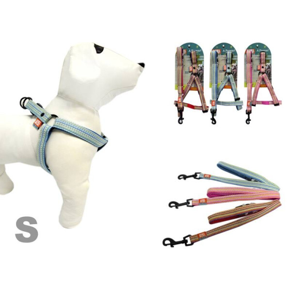 COLLAR + CORREA PARA MASCOTAS TAMAÑO S DISEÑO 2 COLLAR + CORREA PARA MASCOTAS TAMAÑO S DISEÑO 2