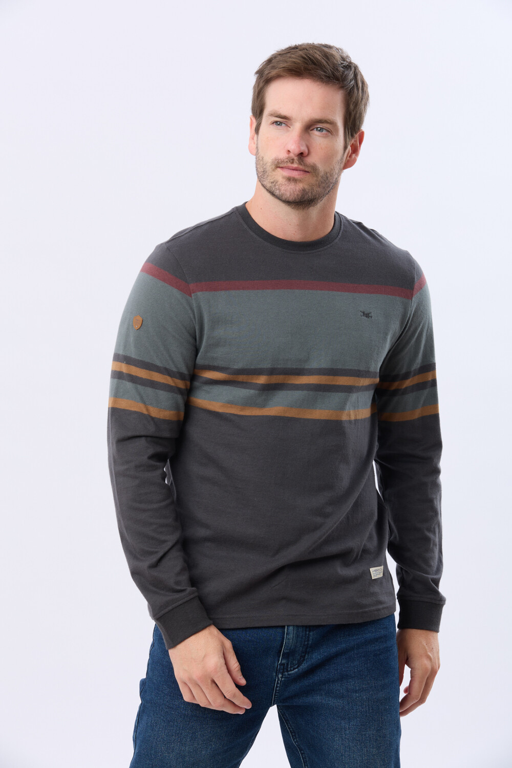 REMERA RAYADA Gris